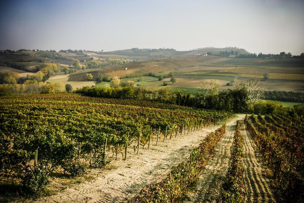 Naturalmente Wine Resort Agliano Terme Εξωτερικό φωτογραφία
