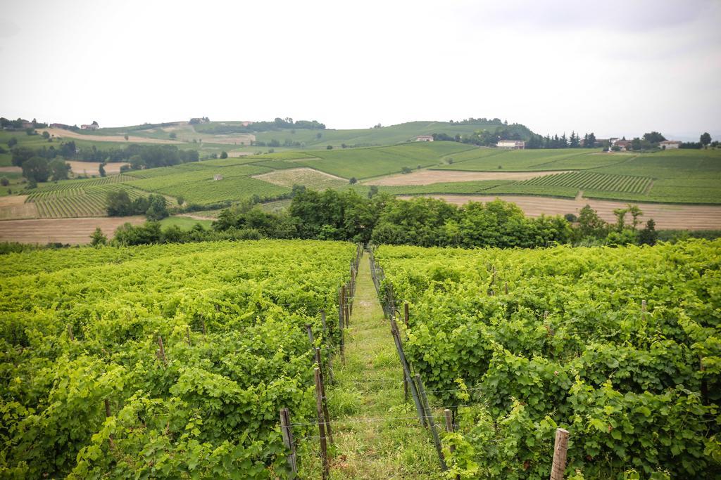 Naturalmente Wine Resort Agliano Terme Εξωτερικό φωτογραφία