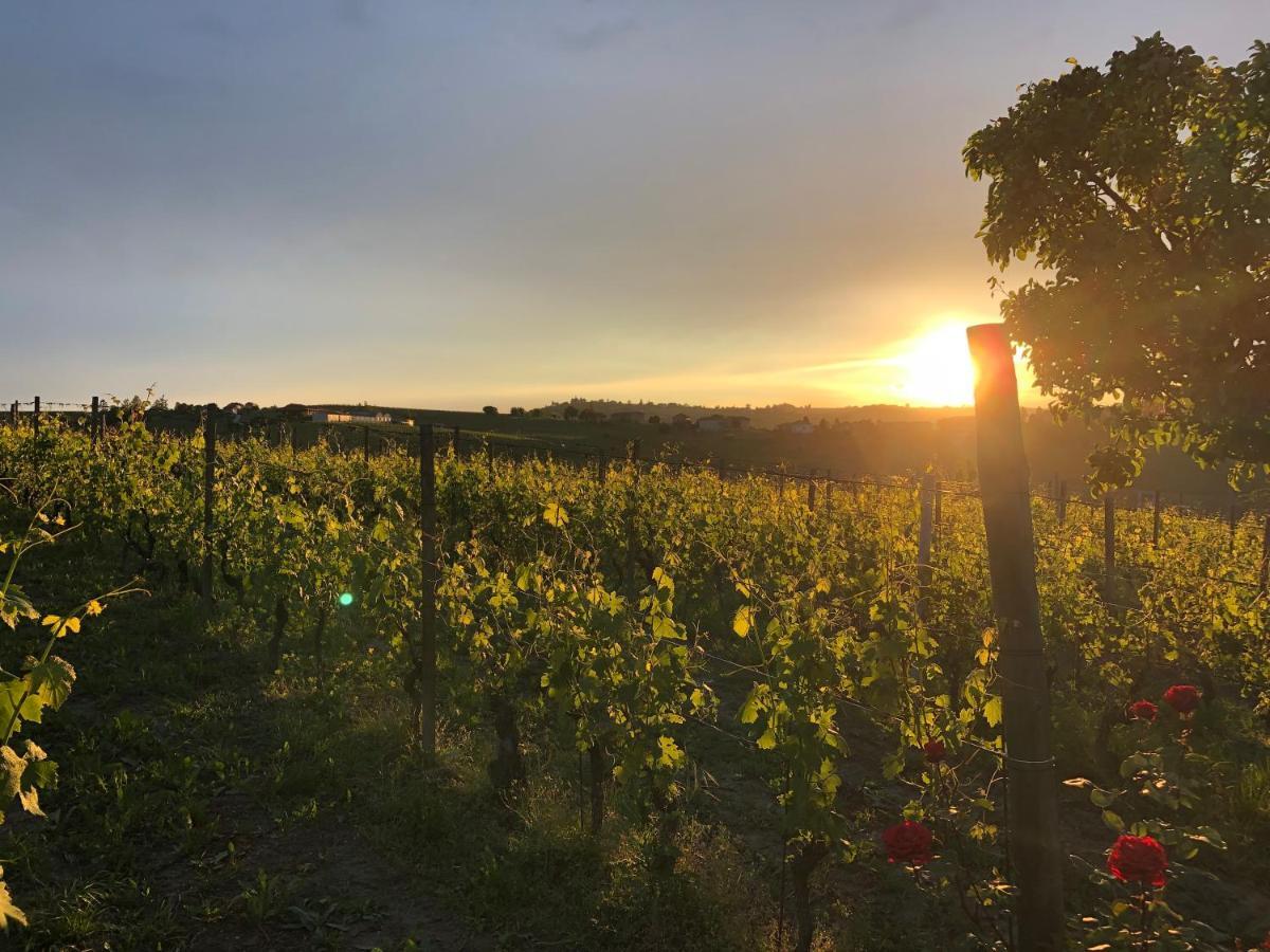 Naturalmente Wine Resort Agliano Terme Εξωτερικό φωτογραφία